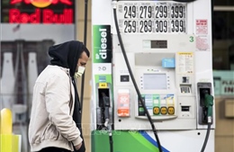 Giá xăng dầu tại Mỹ tăng nhẹ 