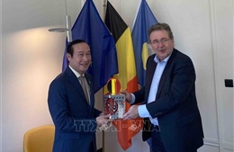 Tăng cường hợp tác giữa địa phương của Việt Nam và vùng thủ đô Brussels của Bỉ
