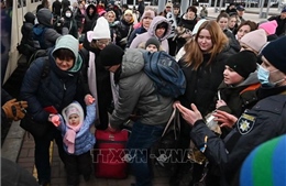 Nga thông báo mở hành lang nhân đạo hằng ngày để người dân từ Ukraine sơ tán