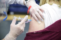 Nghiên cứu cơ chế dẫn vaccine sử dụng phương pháp sinh học tổng hợp