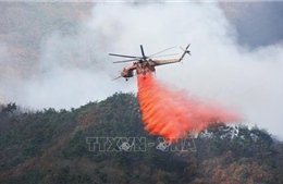 Điện thăm hỏi về các vụ cháy rừng nghiêm trọng ở Hàn Quốc