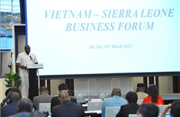 Thúc đẩy hoạt động xúc tiến thương mại và đầu tư Việt Nam - Sierra Leone
