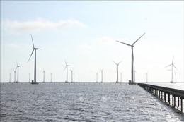 Phát triển điện gió ngoài khơi: Cần chuẩn bị một lộ trình phù hợp