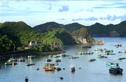 Mở cửa du lịch - Bài cuối: Tăng khả năng chống chịu rủi ro cho du lịch Việt
