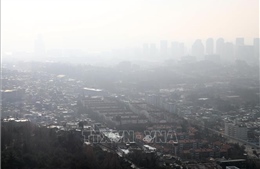 99% dân số toàn cầu phải hít thở không khí ô nhiễm vượt giới hạn an toàn của WHO