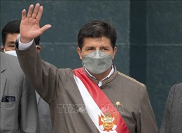 Quốc hội Peru kêu gọi Tổng thống Pedro Castillo từ chức