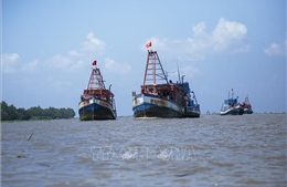  Việt Nam sẵn sàng hợp tác, chia sẻ kinh nghiệm trong chống khai thác hải sản bất hợp pháp