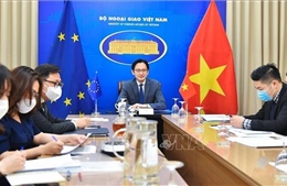 Củng cố, mở rộng hợp tác trong các lĩnh vực ưu tiên giữa Việt Nam và Liên minh châu Âu