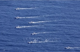 Vụ chìm tàu du lịch Nhật Bản: MLIT kiểm tra đơn vị điều hành tàu Kazu I