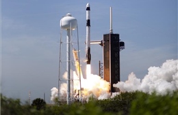 Mỹ thông qua đánh giá môi trường về các vụ phóng tàu Starship của SpaceX