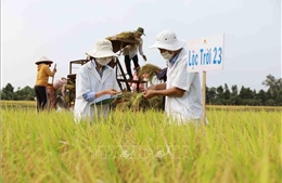 An ninh lương thực - cuộc khủng hoảng nối dài - Bài 3: Tạo giá trị từ liên kết chuỗi