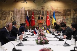 Thổ Nhĩ Kỳ nỗ lực trong công tác trung gian hòa giải Nga-Ukraine