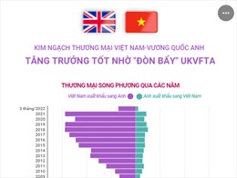 Kim ngạch thương mại Việt Nam-Anh tăng trưởng tốt nhờ đòn bẩy UKVFTA