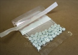 Mỹ thu giữ một lượng kỷ lục thuốc giảm đau fentanyl