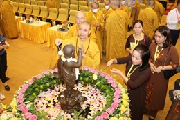 Ninh Bình: Tổ chức long trọng Đại lễ Phật đản, Phật lịch năm 2566