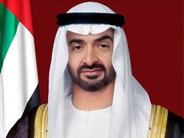 Điện mừng Tổng thống Các Tiểu vương quốc Ả-rập thống nhất