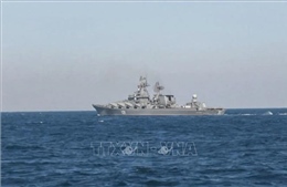 Nga nêu điều kiện mở lại các cảng bên bờ Biển Đen của Ukraine