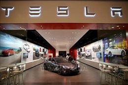 Tesla để ngỏ khả năng giảm giá xe ô tô