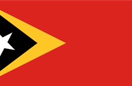 Điện mừng Ngày Độc lập nước Cộng hòa Dân chủ Timor-Leste