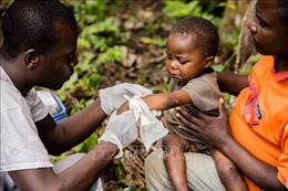 Chuyên gia Nam Phi: Không cần tiêm chủng diện rộng phòng bệnh đậu mùa khỉ