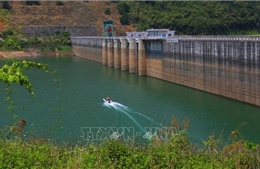 Lâm Đồng: Xử phạt 500 triệu đồng hai đối tượng chiếm đất lòng hồ thủy điện