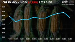 Bản tin MXV 1/6: Nguồn cung toàn cầu được cải thiện, giá lúa mì giảm kịch sàn