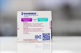 Mỹ ngừng cấp phép sử dụng thuốc Evusheld do thiếu hiệu quả với dòng phụ XBB.1.5
