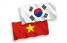 Việt Nam - Hàn Quốc hướng tới nâng tầm quan hệ Đối tác chiến lược toàn diện