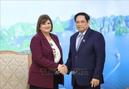 Thủ tướng Phạm Minh Chính tiếp Đại sứ Ai Cập và Đại sứ Mông Cổ