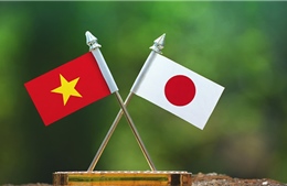 Thi thiết kế logo kỷ niệm 50 năm quan hệ ngoại giao Việt Nam - Nhật Bản