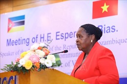 Mozambique sẽ là cửa ngõ để doanh nghiệp Việt Nam thâm nhập vào khu vực phía Nam châu Phi