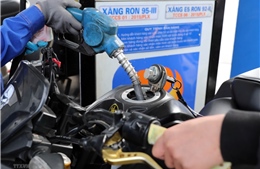 Bộ Tài chính đề nghị chưa điều chỉnh giảm thuế tiêu thụ đặc biệt với xăng