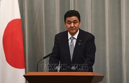 Nhật Bản kêu gọi đảm bảo trật tự dựa trên luật lệ ở Ấn Độ Dương - Thái Bình Dương
