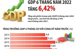 GDP 6 tháng năm 2022 tăng 6,42%