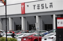 Đức thu hồi một số mẫu xe của Tesla do lỗi phần mềm