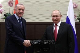 Lãnh đạo Nga và Thổ Nhĩ Kỳ thảo luận về xuất khẩu ngũ cốc và viện trợ cho Syria