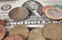 Đồng euro giảm xuống mức thấp nhất so với đồng USD trong 20 năm