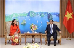 Thủ tướng Phạm Minh Chính tiếp Điều phối viên thường trú LHQ trình Thư ủy nhiệm