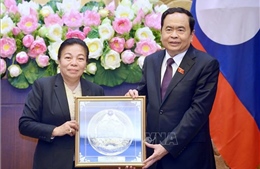 Làm sâu sắc hơn nữa quan hệ hợp tác giữa hai Quốc hội Việt Nam - Lào
