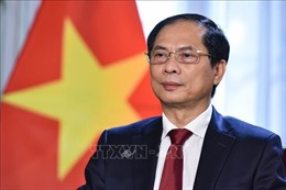 Bộ trưởng Ngoại giao Bùi Thanh Sơn tiếp Bí thư Tỉnh ủy Vân Nam, Trung Quốc