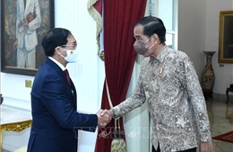 Bộ trưởng Ngoại giao Bùi Thanh Sơn tiếp kiến Tổng thống Indonesia