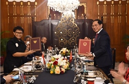 Việt Nam, Indonesia tìm biện pháp thúc đẩy hợp tác song phương