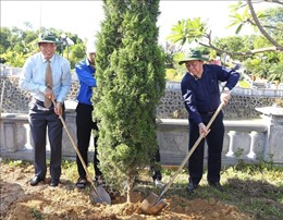 Trồng cây xanh cải tạo cảnh quan tại các nghĩa trang liệt sỹ ở Quảng Trị