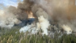 Mỹ: Cháy rừng lan nhanh ở California, hàng nghìn người phải sơ tán
