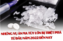 Những vụ án ma túy lớn bị triệt phá từ đầu năm 2022 đến nay