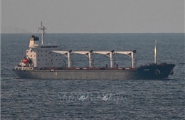 Thêm 3 tàu chở ngũ cốc rời Ukraine, hi vọng Nga - Ukraine đàm phán ngừng bắn dấy lên 