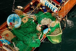 Phát triển kinh tế biển bền vững - Bài 2: Tập trung nguồn lực