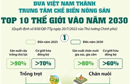 Đưa Việt Nam thành trung tâm chế biến nông sản top 10 thế giới vào năm 2030 - Phần 1
