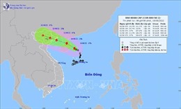Quảng Ninh: Hoàn thành công tác ứng phó bão số 2 trước 17 giờ ngày 10/8