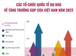 Các tổ chức quốc tế dự báo về tăng trưởng GDP của Việt Nam năm 2022